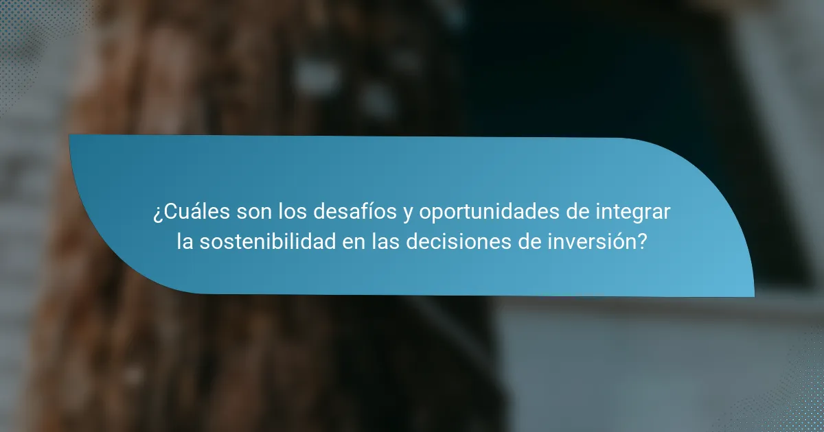 ¿Cuáles son los desafíos y oportunidades de integrar la sostenibilidad en las decisiones de inversión?