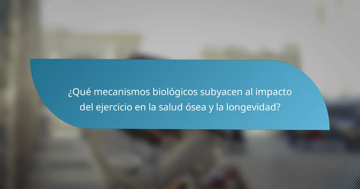 ¿Qué mecanismos biológicos subyacen al impacto del ejercicio en la salud ósea y la longevidad?